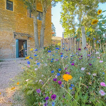 Ancien Cuvage Renove En Beaujolais Holiday home