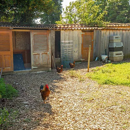Holiday home Ancien Cuvage Renove En Beaujolais Denice